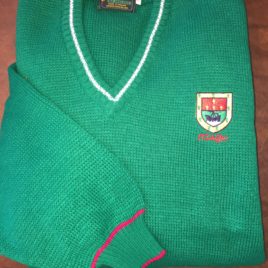 County V-Neck Sweater Mayo -Green (Large Only)