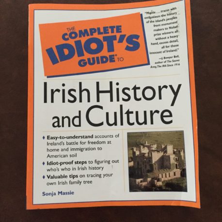 idiots-guide-book