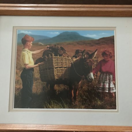 Bringing Home the Turf Print Matted and Framed 13×16